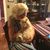 Lynn Lindbloom Barlow's profile image
