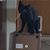 Francie Simpson Georgiades's profile image