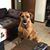 Cindy Phillips's profile image