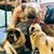 Megan Danielle Catterton Wesley's profile image