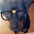Kasey d'Esterhazy's profile image
