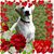 Donna Hampton Boyden's profile image