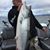 Craig Edwards's profile image