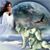 Nancy Fisher's profile image