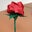 Casandra Torres's profile image