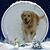 Kimberly Dunn White's profile image