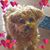 Sandy Berg Hanson's profile image
