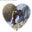 Holly Franks's profile image