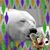 Sue Jay's profile image