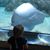 Roseann M Jagla's profile image