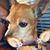 Melinda-Michael Easley's profile image
