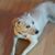 Joyce Katz's profile image