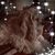 Laurie Acklin's profile image