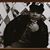 Leiland Oquendo's profile image