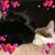 Laura Johnson's profile image