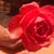 Linda Wright's profile image