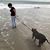 Denise S. LeFiles's profile image