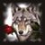 Jose Antonio Castro's profile image