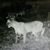 Pier Ruay's profile image