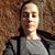 Michele Avissar-Whiting's profile image