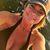 Kaci Davis's profile image