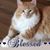 Kimberly Washburn Goodman's profile image