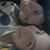 Raven M Raynesworth's profile image