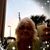 Lynn Certalich's profile image