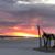 Linda Pardieck's profile image