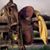 RobertTeresa Hohbein's profile image