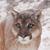Belinda S. Gulick's profile image