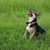 Stephanie Herndon O'Neal's profile image