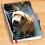 Wendy Mirkin's profile image