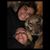 Adrianne Kelts's profile image