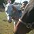 Teresa Marine Clark's profile image