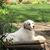 Angel Shaffer's profile image