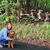 Mary Anne Brancato Fenelon's profile image