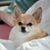 Malinda Bennett's profile image