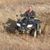 Alan Getz's profile image