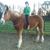 Lee-Debbie Lane's profile image