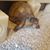 Tammy M House's profile image