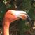 Mats Karlsson's profile image