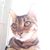 Aurora Arntz's profile image