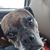 Peggy Henderson Talley's profile image
