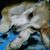 Mary Dore's profile image