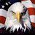 Tim Sanftner's profile image