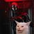 Tim Meiners's profile image