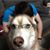 Jon Shaffer's profile image