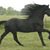 Elizabeth James's profile image