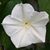 Cheri Moerman's profile image